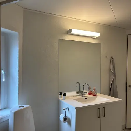 아파트 Gron 오덴세